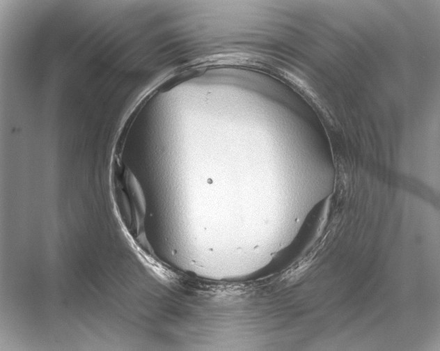 X0000067831426200605041612