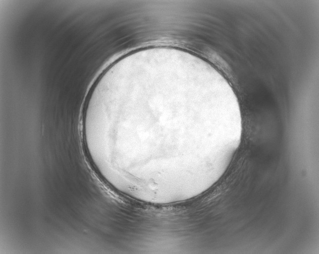 X0000067831428200605041612