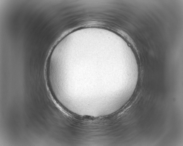 X0000067831429200605041612