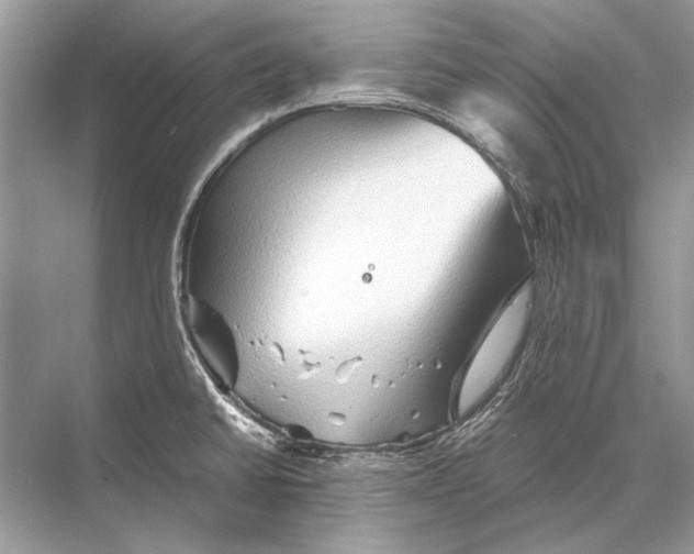 X0000067831430200605041612