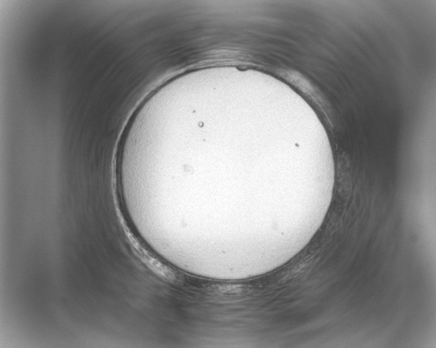 X0000067831431200605041612