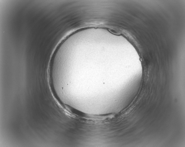 X0000067831432200605041612