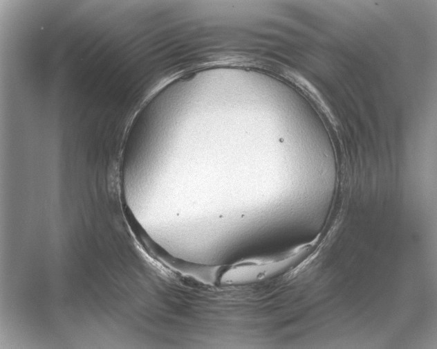 X0000067831433200605041612