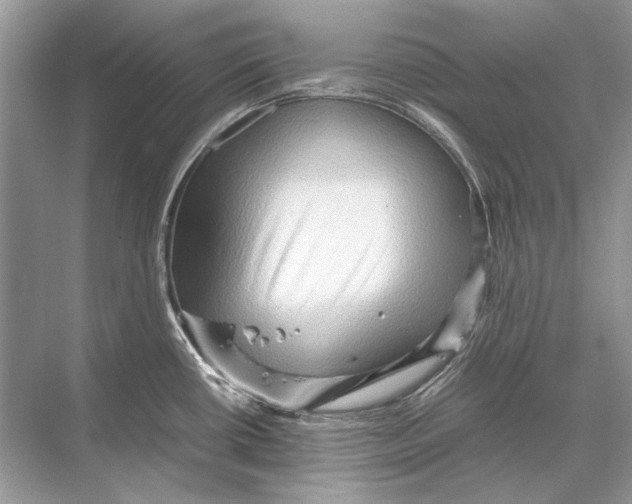 X0000067831434200605041612