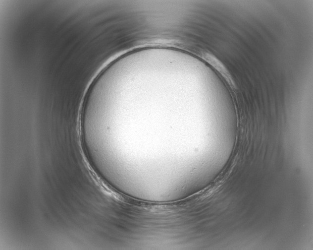 X0000067831436200605041612