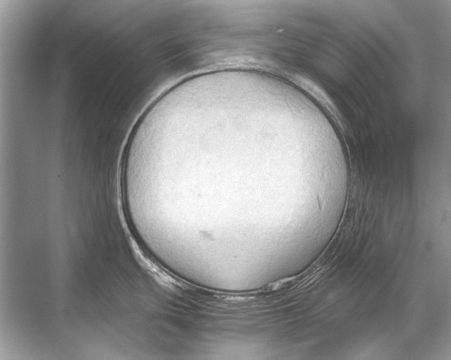 X0000067831439200605041612