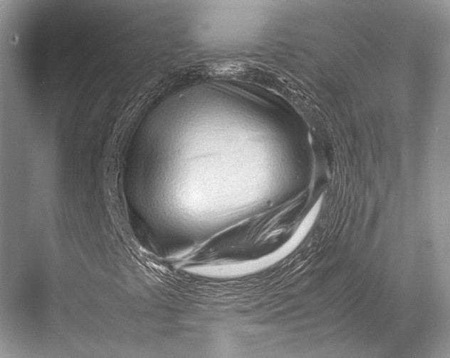 X0000067831441200605041611