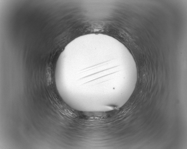 X0000067831442200605041611