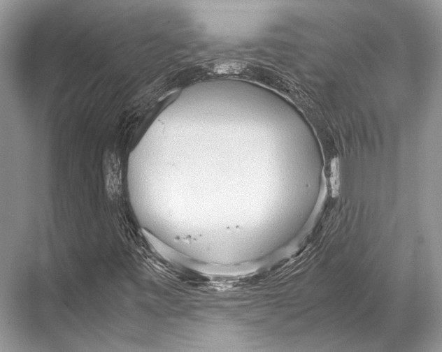 X0000067831443200605041611