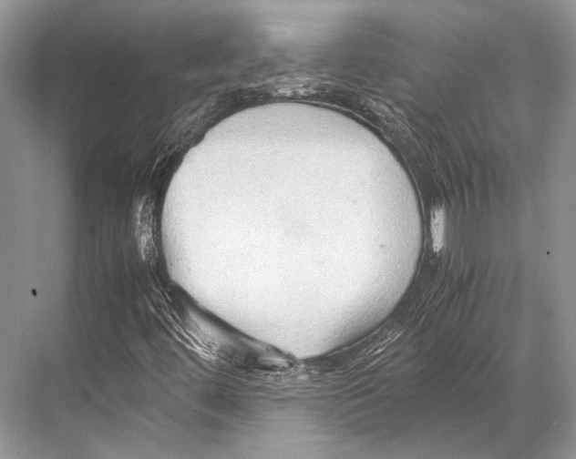 X0000067831444200605041611