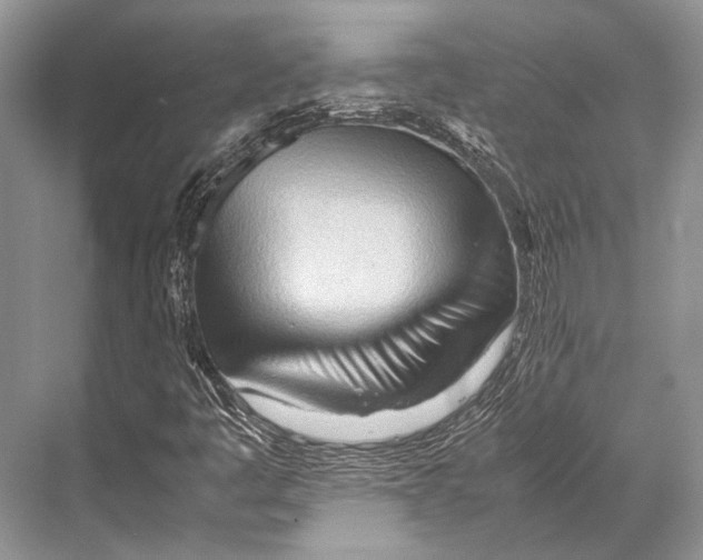 X0000067831445200605041611