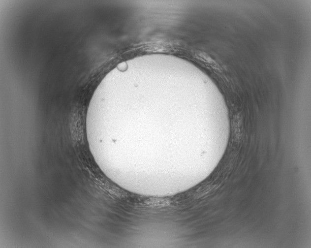 X0000067831446200605041611