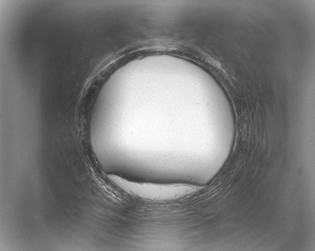 X0000067831448200605041611