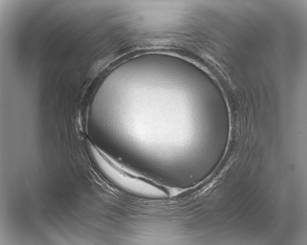 X0000067831449200605041611