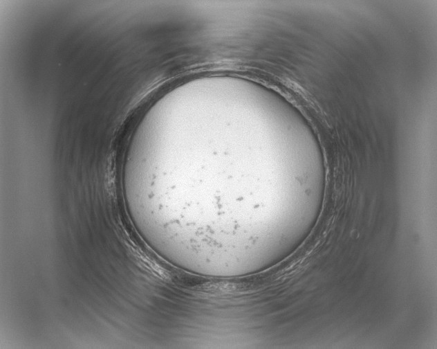 X0000067831450200605041611