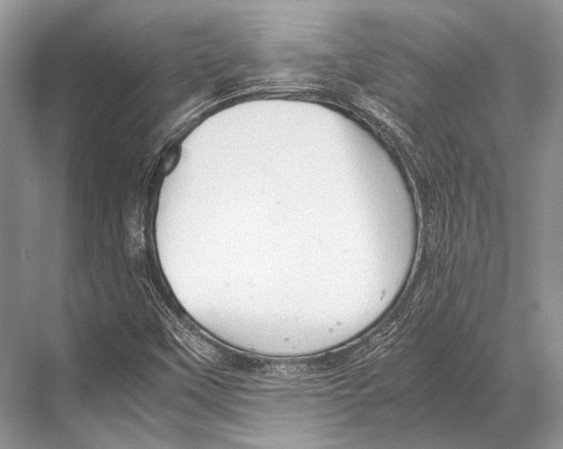 X0000067831451200605041611