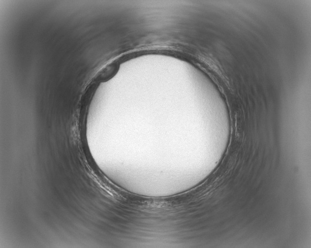 X0000067831452200605041611