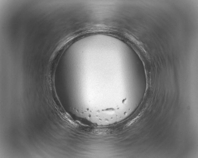 X0000067831453200605041611