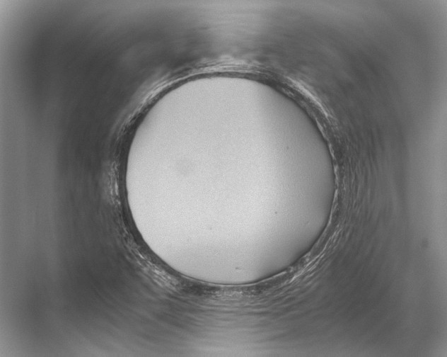 X0000067831455200605041611