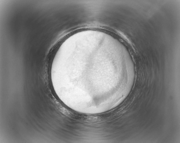 X0000067831456200605041611