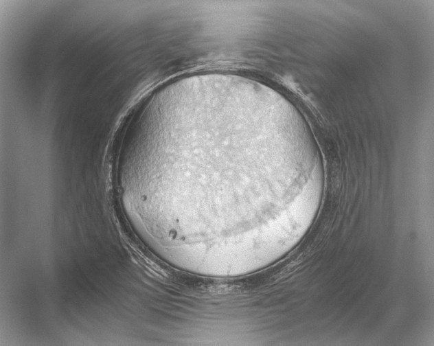 X0000067831459200605041611