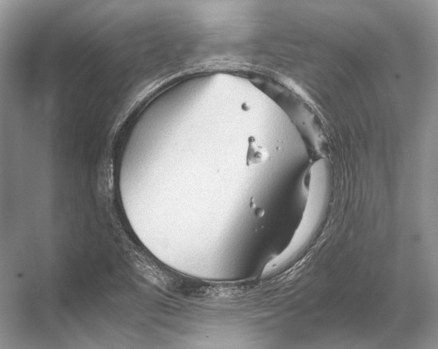 X0000067831461200605041611