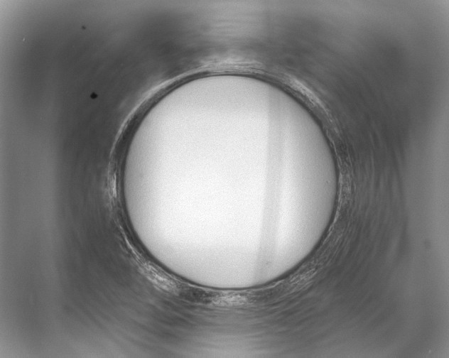 X0000067831462200605041611