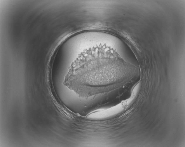 X0000067831463200605041611