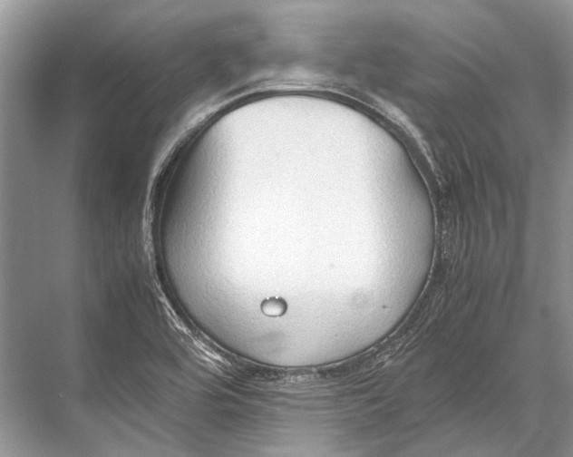 X0000067831464200605041611