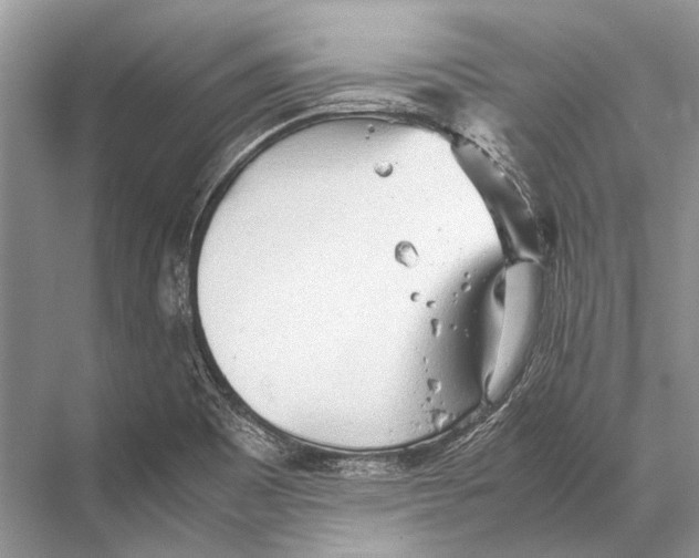 X0000067831465200605041611