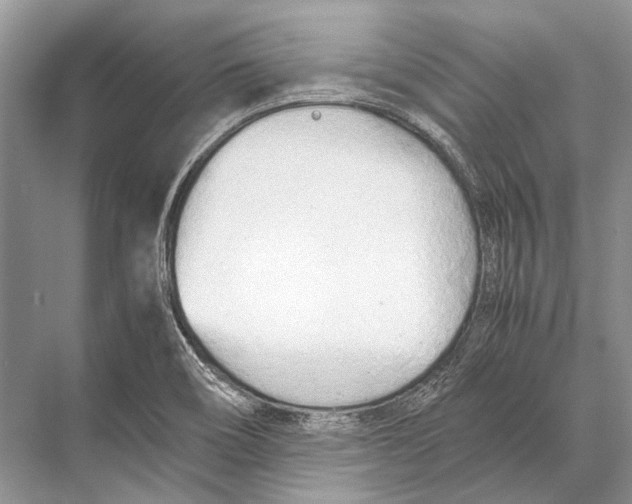 X0000067831466200605041611