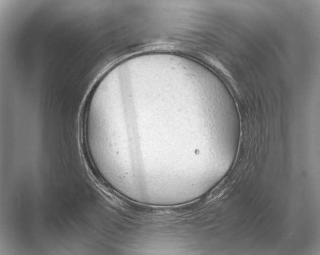 X0000067831467200605041611