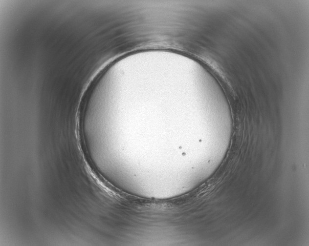 X0000067831468200605041611