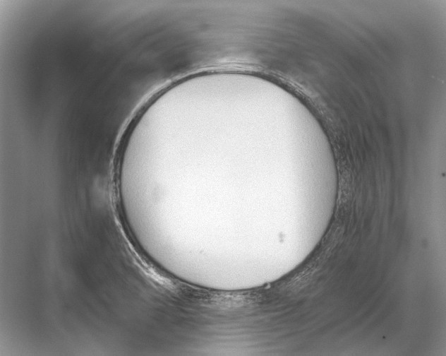 X0000067831470200605041611