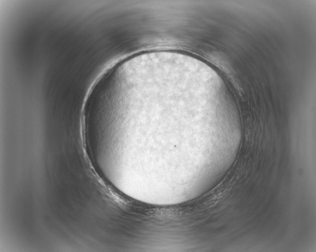 X0000067831472200605041611