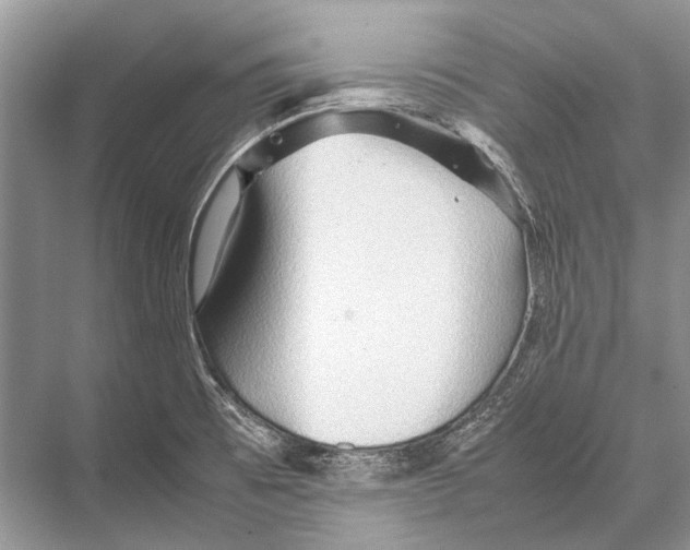 X0000067831473200605041611