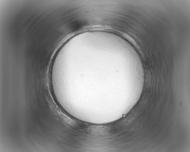 X0000067831474200605041611