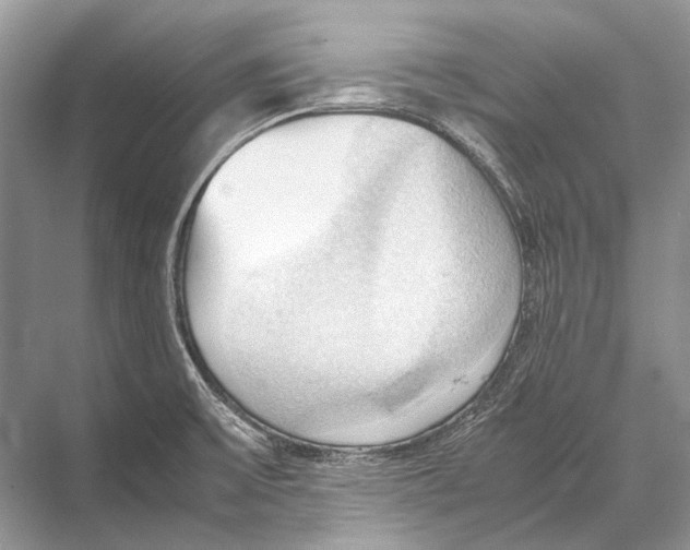 X0000067831475200605041611