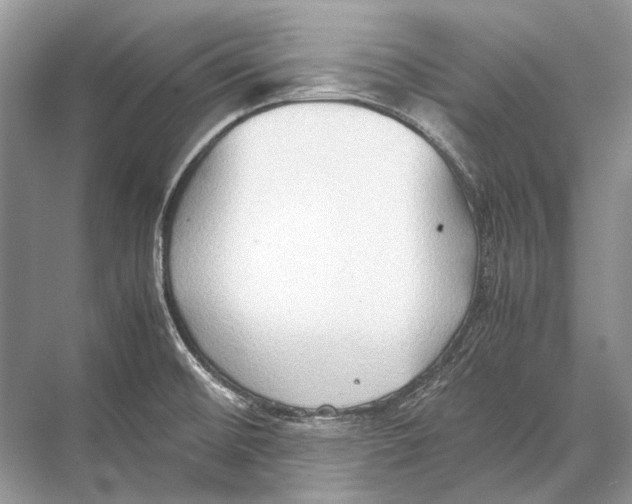 X0000067831476200605041611