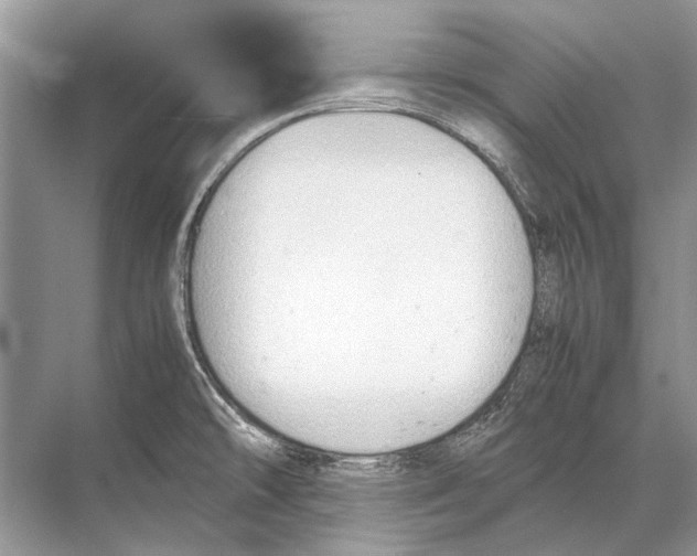 X0000067831478200605041611