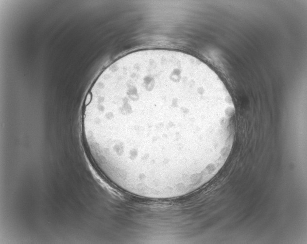 X0000067831479200605041610