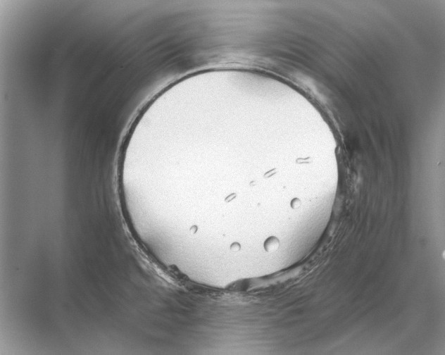 X0000067831480200605041610