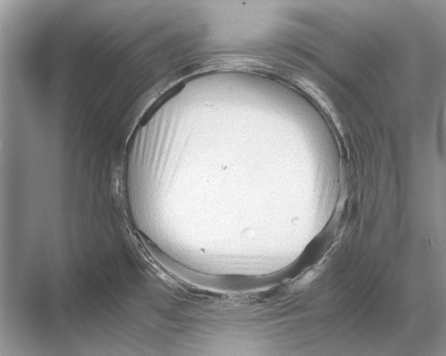 X0000067831481200605041610