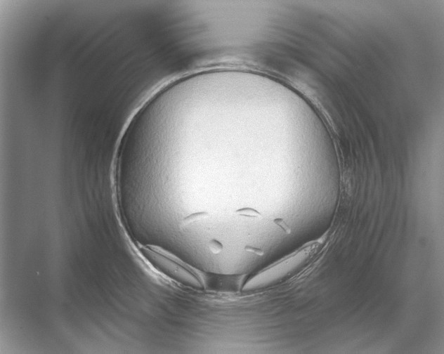 X0000067831482200605041610