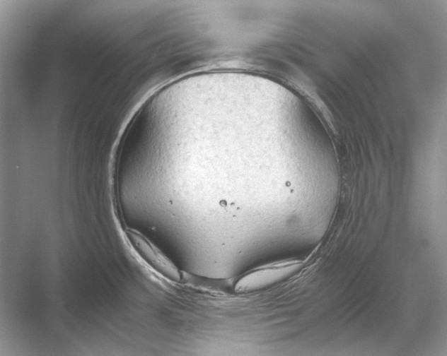 X0000067831483200605041610