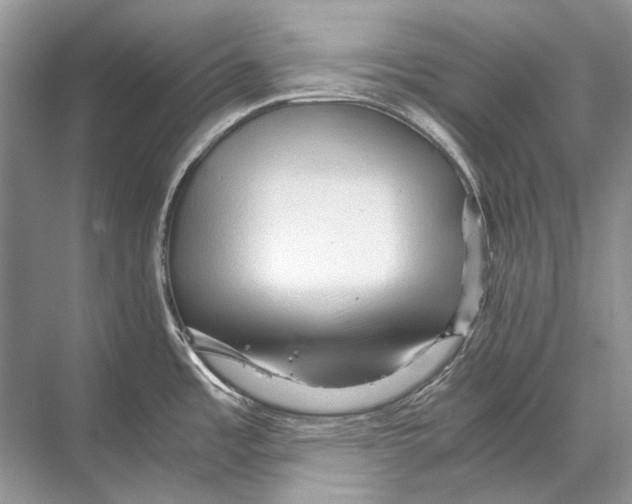 X0000067831485200605041610