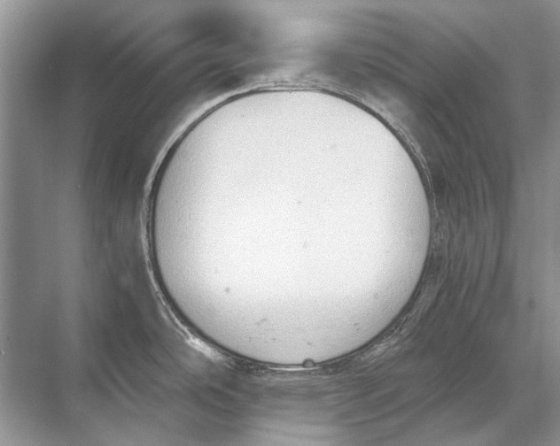 X0000067831486200605041610