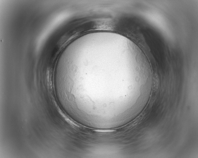 X0000067831487200605041610