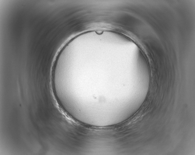 X0000067831488200605041610