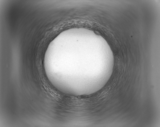 X0000067831489200605041610